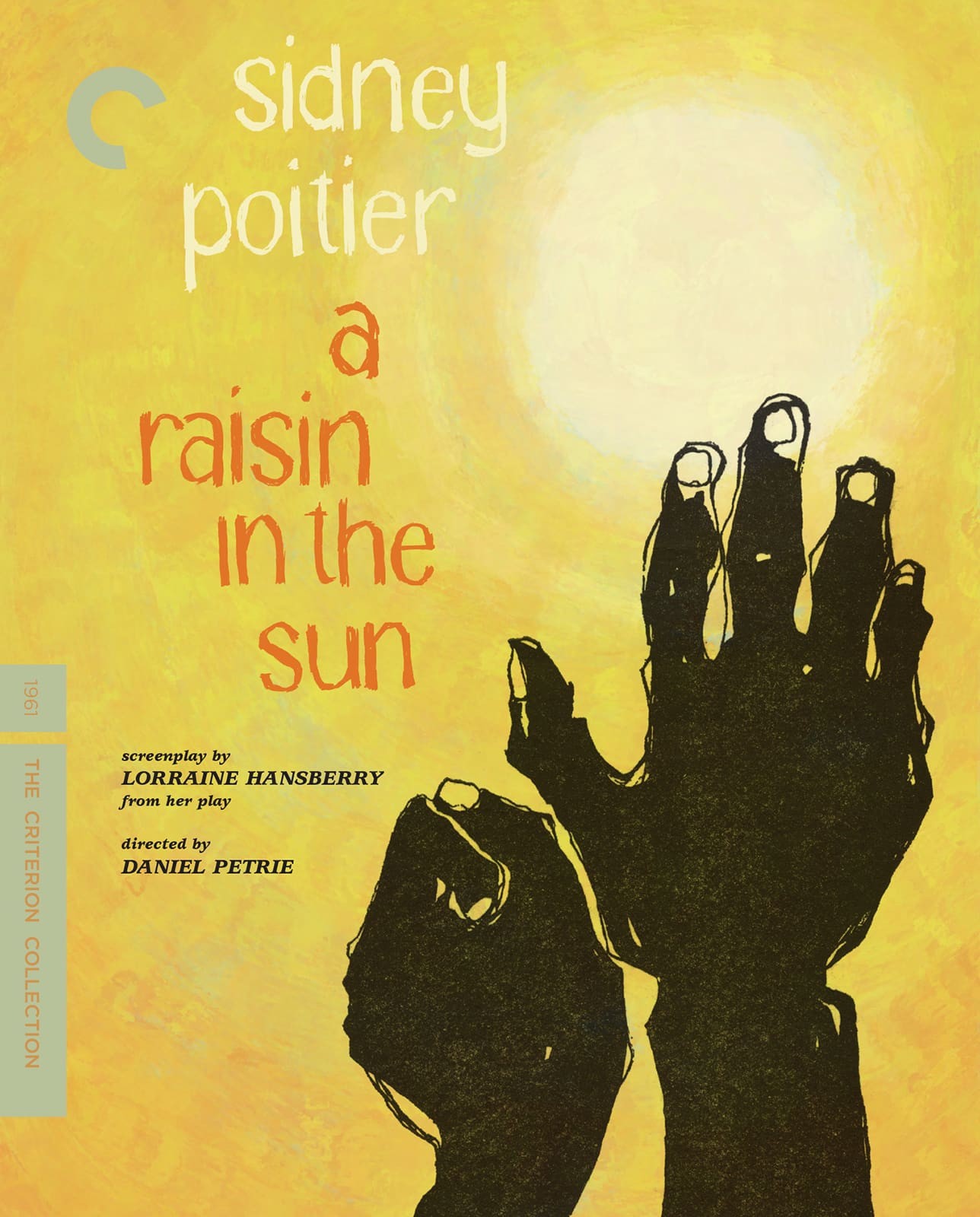 dvd cover A Raisin in the Sun