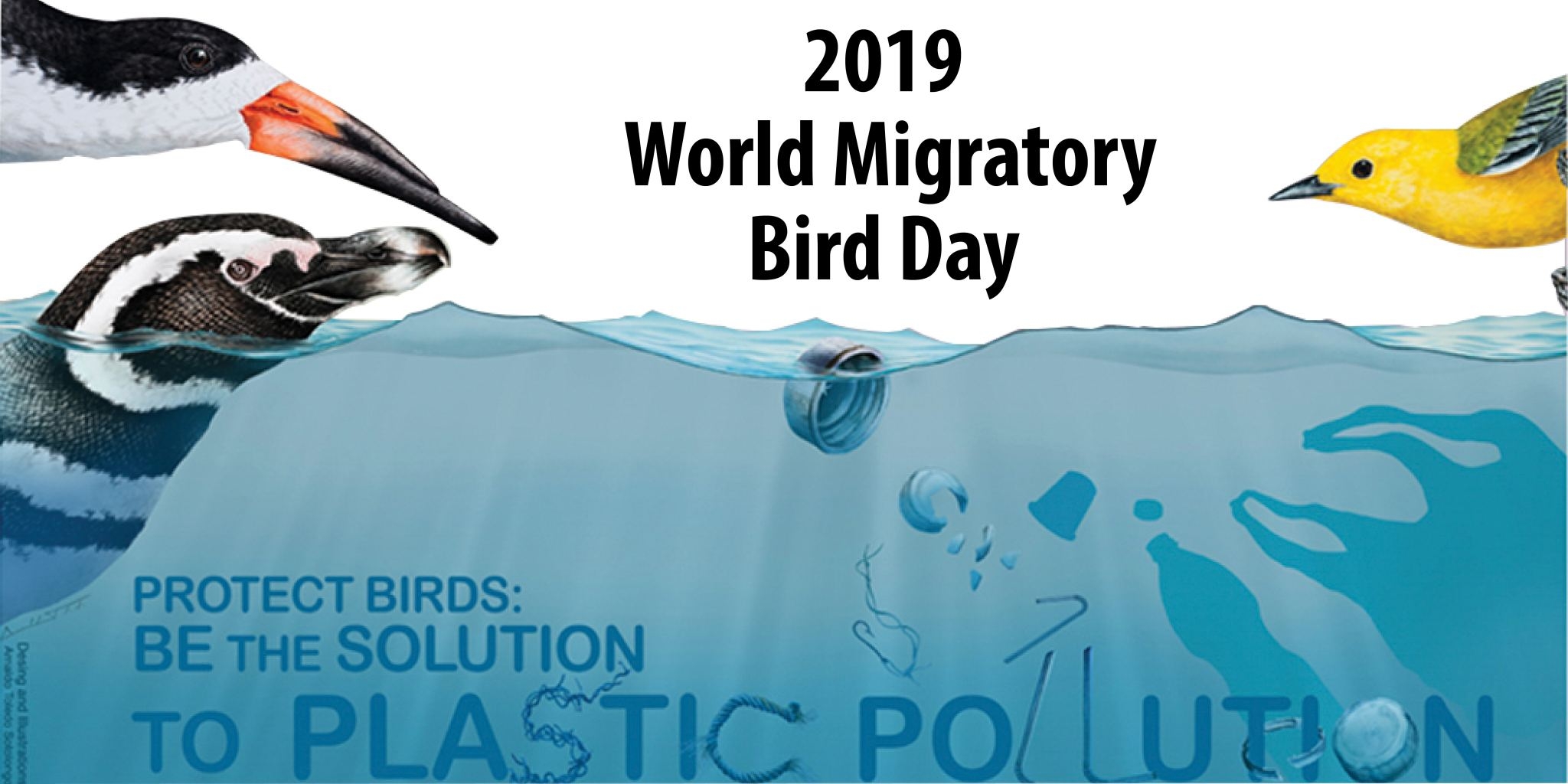 World Migratory Bird Day 200
