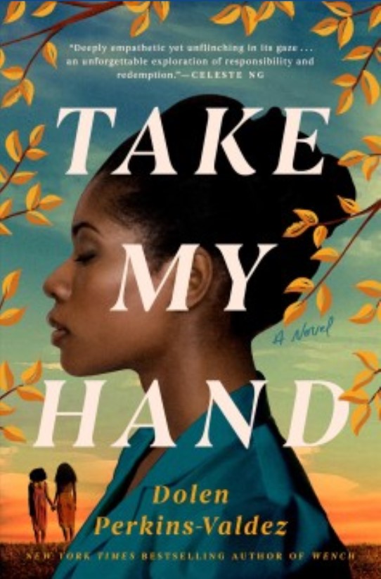 Book cover of Take My Hand by Dolen Perkins-Valdez