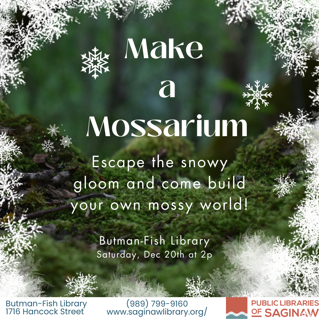 Make a Mossarium: Escape the snowy gloom and come build your own mossy world! Butman-Fish Library Saturday, December 20th at 2 pm