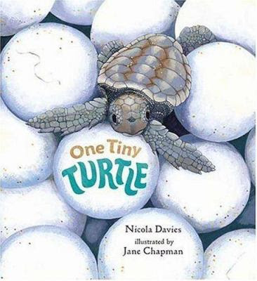 Image for World Turtle Day