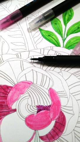 adult coloring sample
