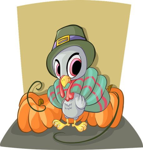 turkey illustration