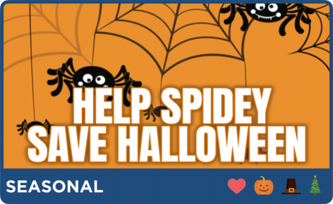 spiders in web 