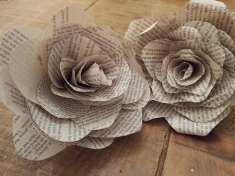 Book Roses