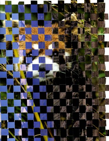 Paper Weaving