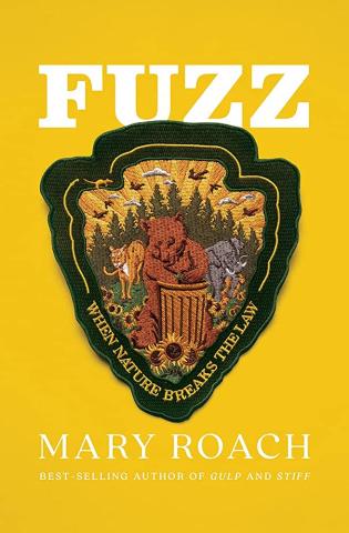 fuzz