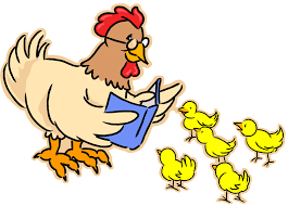 chicken