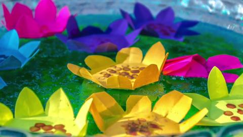 flower