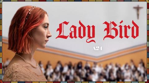 lady bird