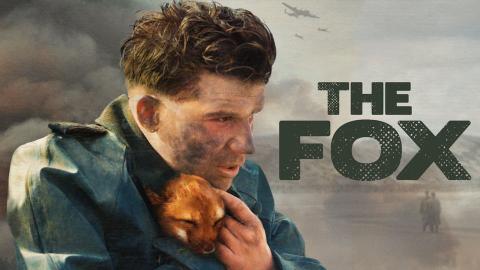 The Fox Cover