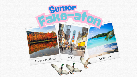 A family of ducks steps out of their comfort zone traveling from New England to New York, and finally to their ultimate destination, Jamaica.