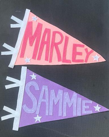 Name Felt Pennants
