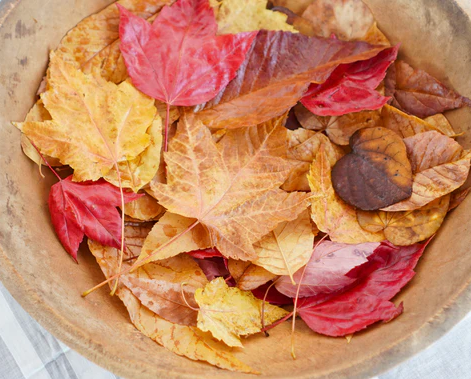 Image of Colorful fall leaves in a bowl.
