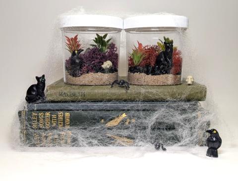 Spooky themed terrarium featuring miniature plastic crow and cat