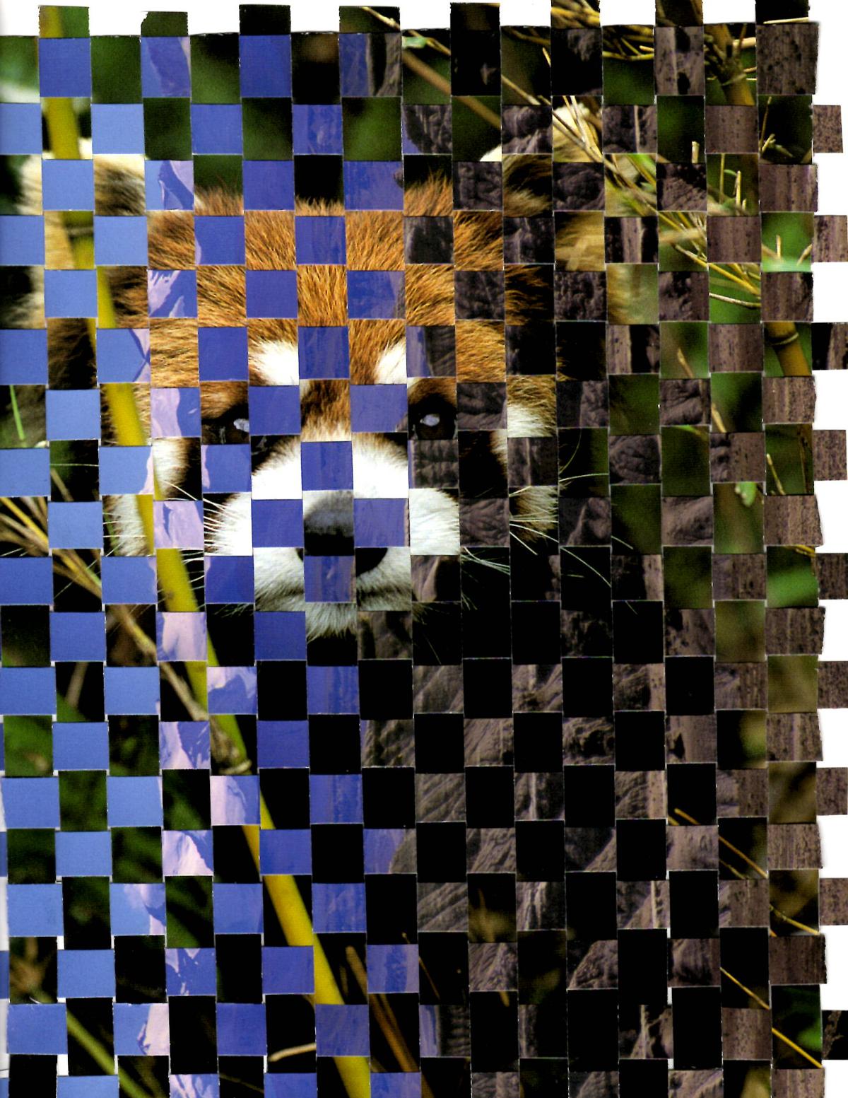 Paper Weaving