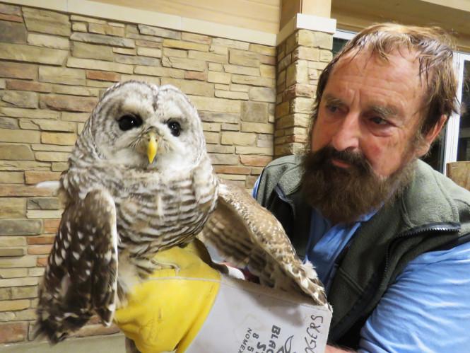 Joe Rogers, Birds of Prey presenter