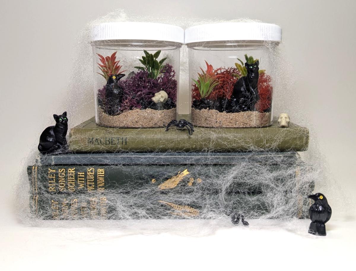 Spooky themed terrarium featuring miniature plastic crow and cat